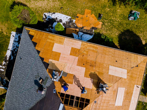 Best Roof Gutter Cleaning  in Greentown, IN